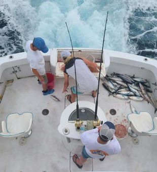 Fishing in Fort Lauderdale, Florida